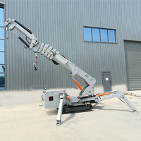 Grue mobile électrique et diesel Tonlita CE EPA EURO 5, petite grue araignée portable avec flèche de rehaussement et ventouse pour verre