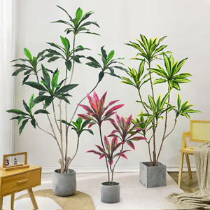 Haihong fabricant Nouveau Design Haute Qualité Intérieur Extérieur Décoratif dracaena bonsaï vert jaune rose dracaena artificiel <span class=keywords><strong>tre</strong></span> - Product Image 6