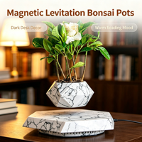 Macetas de Bonsái Flotantes de Levitación Magnética, Macetas Giratorias con Flores Preservadas, Regalo Creativo y Personalizado
