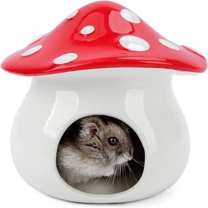 Maison de refuge d'habitat de hamster en céramique en forme de champignon rouge pour petit animal de compagnie