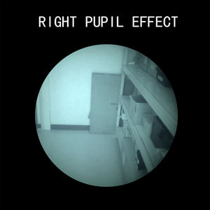 즉시 배송 FOM1400+ 2세대 P45 백색 인광 PVS-31 야간 투시경 쌍안경 NVG 백색 인광 PVS-31 야간 투시경 - Product Image 3