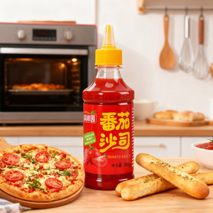 Sauce tomate, assaisonnement, vinaigrette végétarienne, marque d'usine chinoise, logo OEM, vente en gros commerciale, flacon souple à presser - Product Image 2