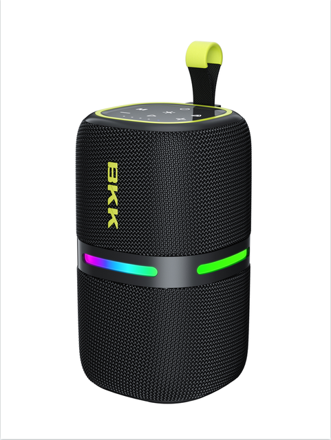 C300 Manufacturer of 30W Lightweight Portable Speaker with Auracast Function