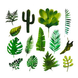 60PCS Mini pianta verde fiore piccolo Cactus foglia di palma auto da parete frigo bagagli laptop <span class=keywords><strong>adesivi</strong></span> impermeabili - Product Image 3