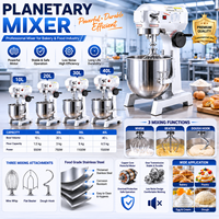 Mélangeur à spirale électrique industriel et commercial 10/20/30/40L pour pâte à pizza et pain, en acier inoxydable avec bol amovible, pour farine de blé et de maïs
