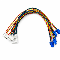 Conectores Macho-Hembra de Par Trenzado Multicolor Personalizados, Arnés de Cables para Dispositivos Electrónicos