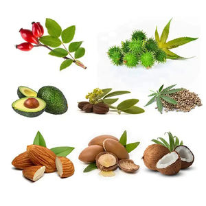 Распродажа оптом, семена шиповника, сладкого миндаля, жожоба, авокадо, оливковое масло, семена камелии, новое масло-носитель для эфирного масла - Product Image 4