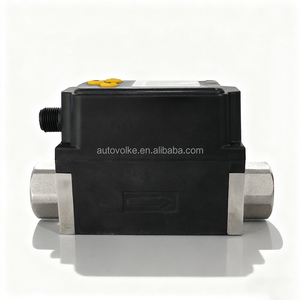 Đồng hồ đo lưu lượng xoáy bằng thép không gỉ 24VDC, đường kính ren 1 inch, cảm biến lưu lượng chất lỏng cho nước & dầu, OEM - Product Image 1