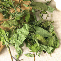 Vente en gros de thé en feuilles de menthe poivrée séchée Bo he Thé en vrac d'herbes santé et minceur Thé aux feuilles de menthe à base de plantes