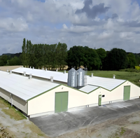 Hangar industriel en acier galvanisé de calibre lourd pour poulets de chair avec panneaux de refroidissement et ventilateurs d'extraction