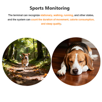 Nouveauté 2026 : Traceur GPS 4G LTE pour animaux de compagnie avec suivi sportif et de sommeil, mini traceur GPS pour chiens avec API