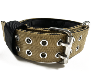 Hunde halsband mit weichem Neopren gepolstert, Edelstahl Hardware Hunde halsband - Product Image 1