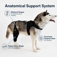 Harnais de soutien arrière pour chien PETSGUARD, pour mobilité canine senior, articulations de la hanche, récupération post-chirurgie LCA, en maille respirante