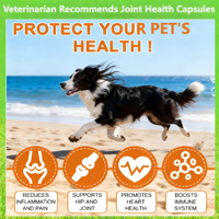AINA Tabletas de Condroitina (VD3) para Perros y Gatos, Absorción Rápida, Seguras, Soporte Multifacético para las Articulaciones y el Sistema Inmunitario, Vitaminas E/C, Minerales, Sin Granos