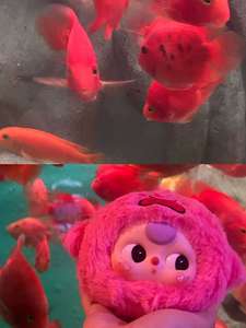 Passion Custom 动漫动作毛绒挂件玩具婴儿三浪漫海洋礼物带神秘盒子 - Product Image 2