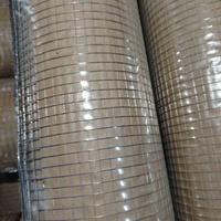 En stock, rouleau de grillage soudé galvanisé à petits trous pour cage à oiseaux, élevage en ferme, enclos pour petits animaux