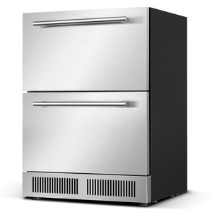 Congélateur vertical NUELEAD NE 55D à porte vitrée, à compresseur écoénergétique, à température unique, R290, pour crème glacée, idéal pour les climats froids - Product Image 5