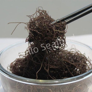 สาหร่ายกราซิลารีอาแห้งพรีเมียม (โอโกโนริ) 100 กรัม/ถุง - สาหร่ายแห้งสำหรับอุตสาหกรรมอาหารและการใช้ในครัวเรือน - Product Image 4