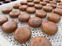 Machine distributrice et ligne de production entièrement automatiques de gâteaux en couches en acier inoxydable 304 avec stérilisateur alimentaire, capacité de 100 kg/h