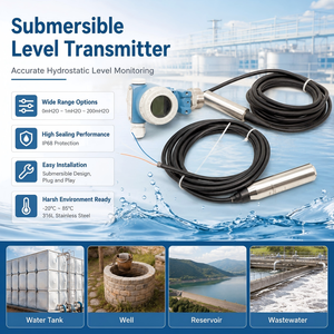 Capteur de niveau d'eau submersible 4-20mA Sortie RS485 SS316 Niveau hydrostatique pour la surveillance de l'eau et des puits - Product Image 3