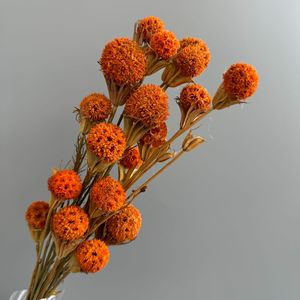 <span class=keywords><strong>Bouquet</strong></span> de boules de gomme douce séchées naturelles pour mariage bohème, douche nuptiale, arrangement floral, <span class=keywords><strong>d</strong></span>écoration <span class=keywords><strong>d</strong></span>'événements - Product Image 6