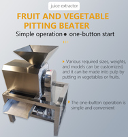 Mango Zaadverwijderaar Machine Stro Pulping Fruitmachine Kleine Fruitpulpmachine