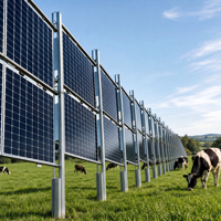 Système de montage de clôture solaire en acier galvanisé à chaud, support PV vertical pour projets agricoles, pâturages et terres ouvertes (agrivoltaïsme)