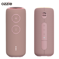 Speaker Bluetooth H300L IPX7 Pink 30W Bass Berat Nirkabel dengan Dual Passive Radiator, Cocok untuk Camping dan Pantai, Portabel