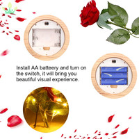 Lampe à rose en soie verte enchantée avec dôme en verre, design feuilles vertes écologiques, cadeau romantique pour les célébrations