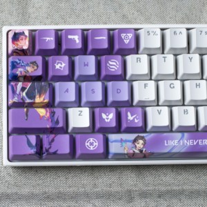 Teclas Personalizadas 29 Teclas Phoenix Clove Fade Neon <span class=keywords><strong>Gekko</strong></span> Perfil OEM Set PBT Teclas de Sublimación de Tinte Personalizables para Interruptor Mx - Product Image 2