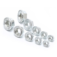 Direct Sale Fastener Serrated Knurled Stainless Steel 304 316 Hex Head Flange Nut DIN6923 Flange Nut M8