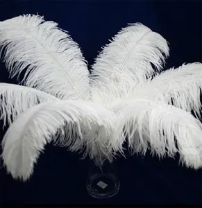 Wholesale Feather Suppliers Factory High Quality Large White Feathers Decoration Ostrich Feathers For Wedding Decor