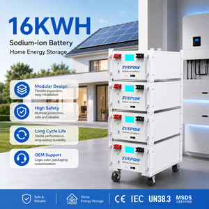 แบตเตอรี่โซเดียมไอออน 48.45V 340Ah 16kWh 8000 รอบการใช้งาน อายุการใช้งานยาวนาน ทนต่ออุณหภูมิต่ำ สำหรับเก็บพลังงานแสงอาทิตย์ภายในบ้าน ปลอดภัย เป็นมิตรกับสิ่งแวดล้อม - Product Image 1