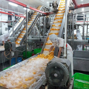 Giá tốt nhất Trái cây dây chuyền chế biến xoài bột giấy dây chuyền sản xuất - Product Image 4