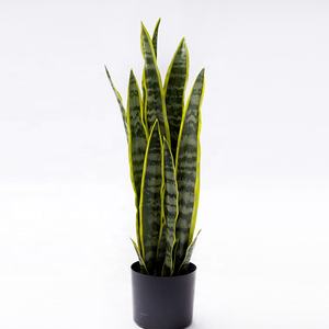 Plantas de imitación falsas con maceta de plástico negro, planta de serpiente Artificial, para el hogar <span class=keywords><strong>Sansevieria</strong></span>, oficina, decoración interior y exterior - Product Image 1