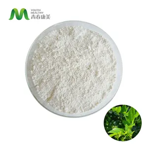 Food Grade Plant Extract Vine Tea Extract Dihydromyricetin Powder 98%