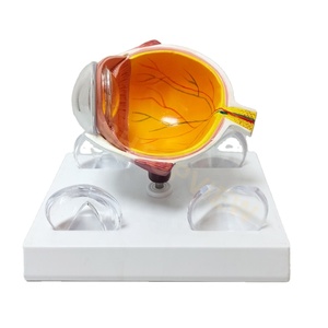 Modèle d'instruments optiques LTB-M2, équipement ophtalmique avec machine oculaire, autres caractéristiques, modèle d'<span class=keywords><strong>ophtalmologie</strong></span> pour les cliniques hospitalières - Product Image 3