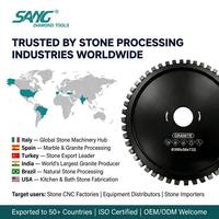Disco de Diamante Segmentado Sinterizado de Precisión de 300 mm y 350 mm para Perfilado y Fresado de Granito y Mármol, para Dar Forma a los Bordes de Losas Brembana Pedrini