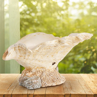 Pot de fleurs en résine imitation coquillage avec trou de drainage, écologique, style rétro pastoral, artisanat décoratif pour la maison et les voyages, capacité 3-5L