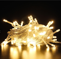 Bunte Weihnachts lichter LED Farbige Lichter/Weihnachts dekoration Lampen schnur Starlight
