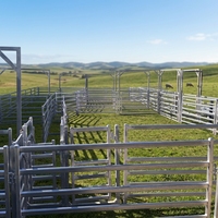 Puerta de Panel para Ovejas Galvanizada en Caliente Directa de Fábrica China con Pasador de Bloqueo para Corral de Granja