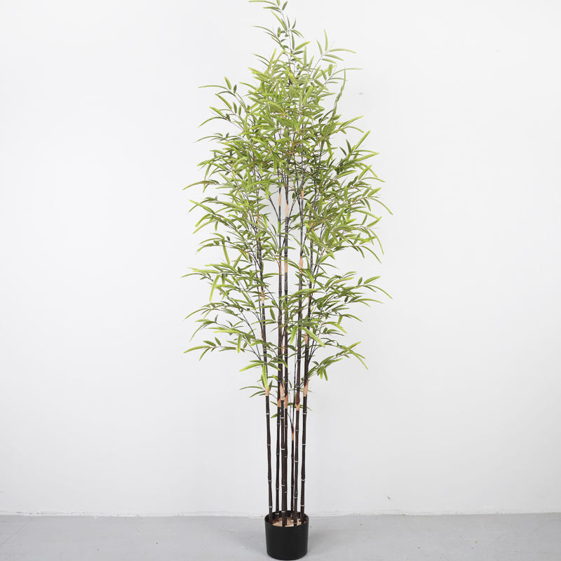 สีม่วง#180 ซม.