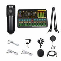 Carte son USB SK500 à vendre ensemble de microphone à condensateur anglais BM80