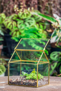 2023 nouveau Vintage maison forme cuivre <span class=keywords><strong>coffre</strong></span> géométrique Terrarium acrylique Reptile incubateur pour la maison et le <span class=keywords><strong>jardin</strong></span> nettoyant inclus - Product Image 4