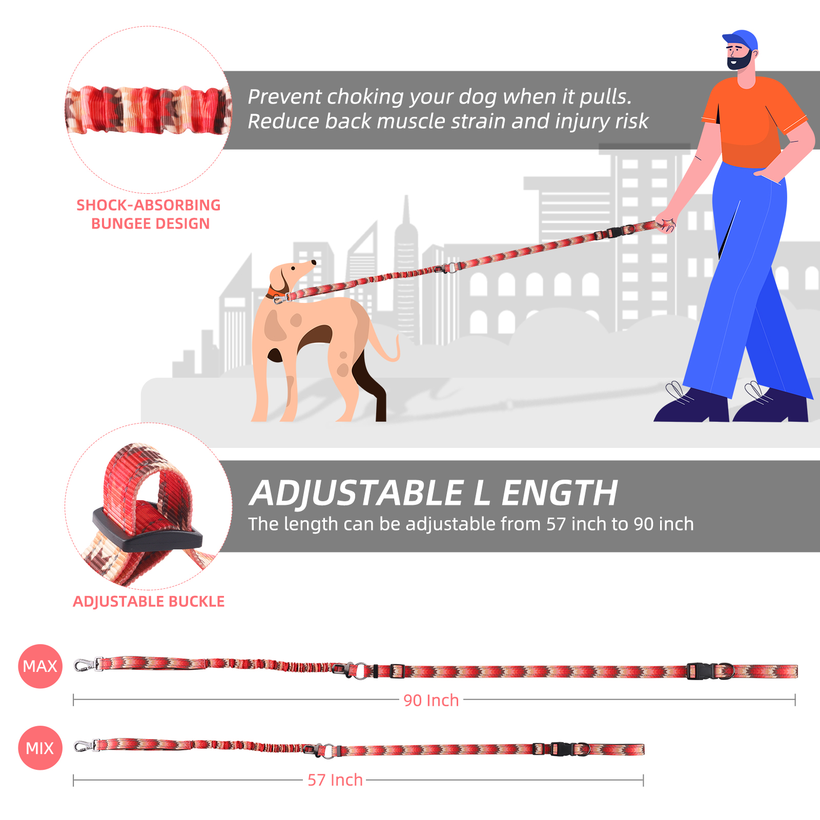 How to Choose the Best Hands Free Dog Leash: Expert Buying Guide