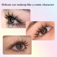 Extensions de cils pré-faites Anime Lash 0,07 mm, style bande dessinée, courbure C et D, 8-15 mm, plateau de cils en vrac, style naturel avec étiquette privée