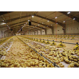 Đúc Sẵn Xây Dựng Ánh Sáng Hiện Đại Kết Cấu Thép Khung Hội Thảo Đổ Barns Prefab Nhà Máy Móc Trang Trại Tại Lesotho - Product Image 1