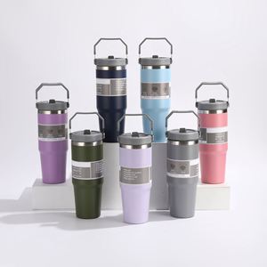 Advanced Portable Double Wall BPA Free 304 Stainless Steel Vacuum <b>Flask</b> <b>Bottle</b> with Handle and Straw for Car Office Outdoor Use - Product Image 1