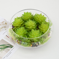 Plantes artificielles modernes, fausses plantes succulentes avec vase en verre, résistantes aux UV, pour la décoration de la maison, du bureau, de la table ou des étagères.
