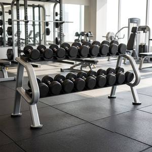 Juego de Mancuernas Recubiertas de Goma de 338 kg con 10 Pares y Soporte, de 2.5 a 25 kg, para Entrenamiento de Fuerza en Gimnasios Comerciales, Jx-yltyt10 - Product Image 4